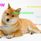 Illustration for article titled We who spoke LOLcat now speak Doge